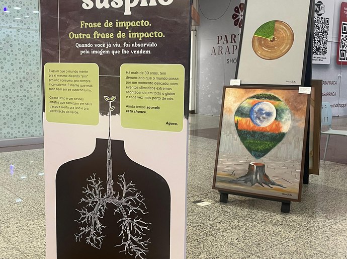 Último Suspiro: artista plástico Cícero Brito inaugura nova expo em shopping