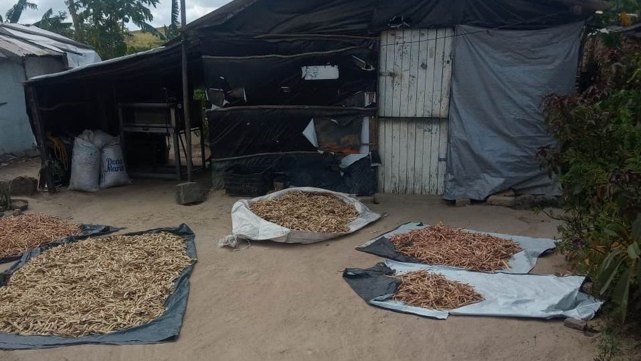 Acampamento São José: 17 anos de resistência nas Terras de Atalaia