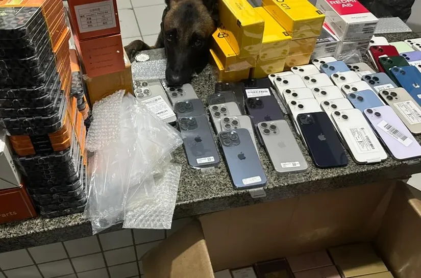 Carga com celulares e perfumes falsificados é apreendida em operação, na BR-101