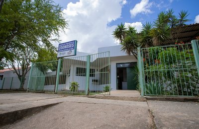 Animais recolhidos no Mercado da Produção começam a ser adotados
