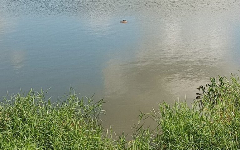 Corpo é encontrado boiando no Lago da Perucaba na manhã desta quarta-feira (2), em Arapiraca