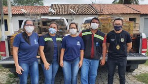 apreensão animais silvestres