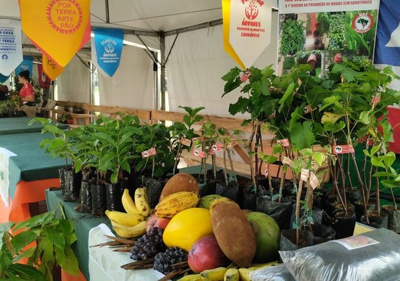 Feira da Reforma Agrária oferece alimentos produzidos por acampamentos