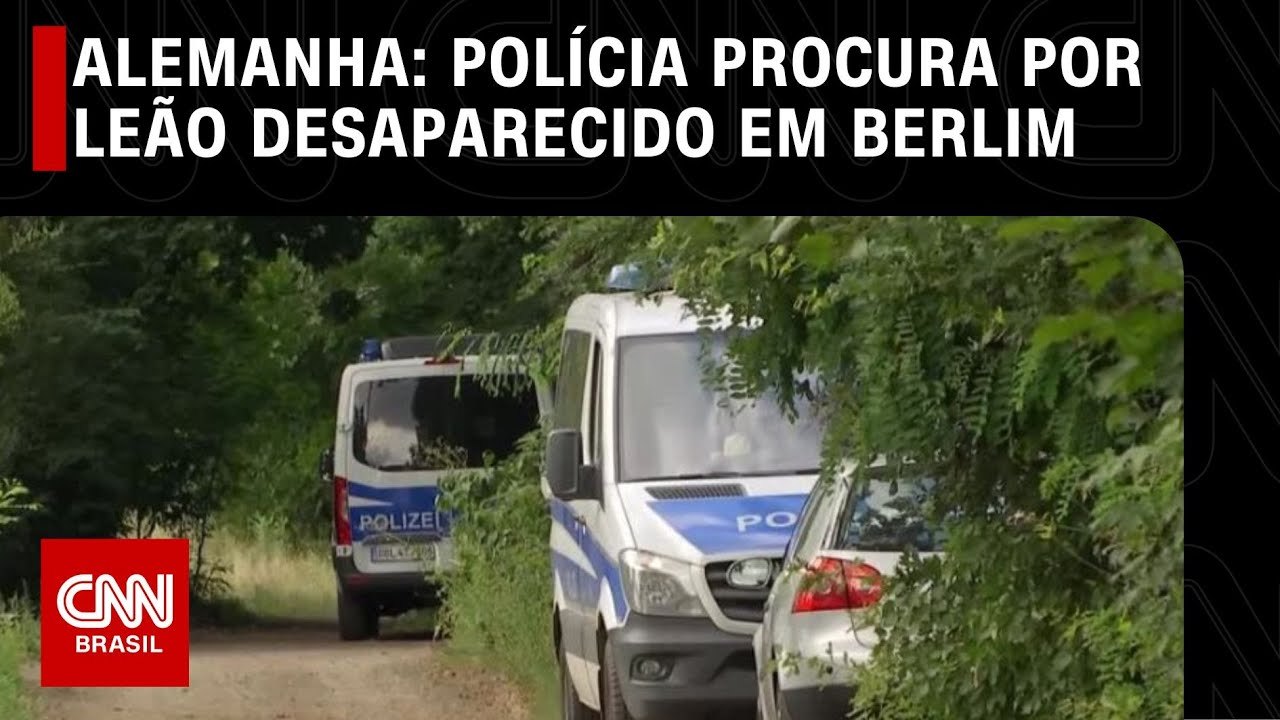 Polícia alemã procura por leão que circula em Berlim