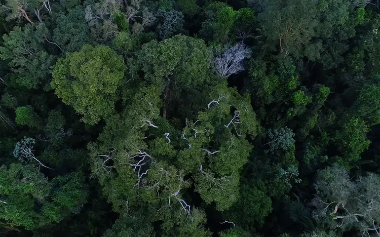 Artistas paraenses apresentam cotidiano amazônico em exposição