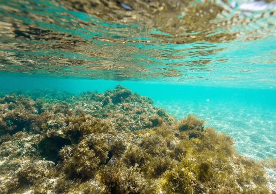 Justiça Federal suspende turismo na Lagoa Azul, em Maragogi
