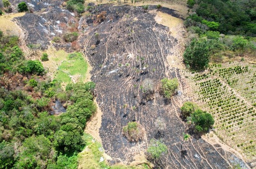 Alagoas registra terceira menor área queimada do Brasil em 2025