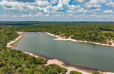 Presidente celebra menor índice de desmatamento em Unidades de Conservação na Amazônia