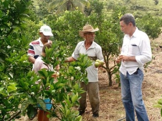 Fruticultura orgânica potencializa produção na região Norte de AL