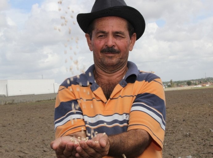 Penedo e região do Baixo São Francisco são beneficiados com sementes de arroz