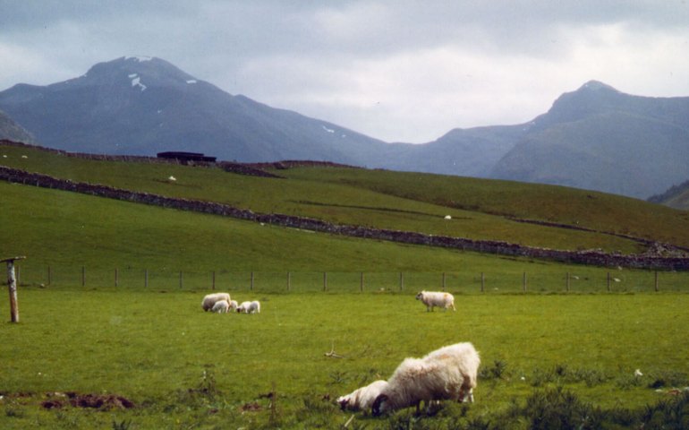 Arqueólogos descobrem moeda medieval inédita da primeira cunhagem em Edimburgo