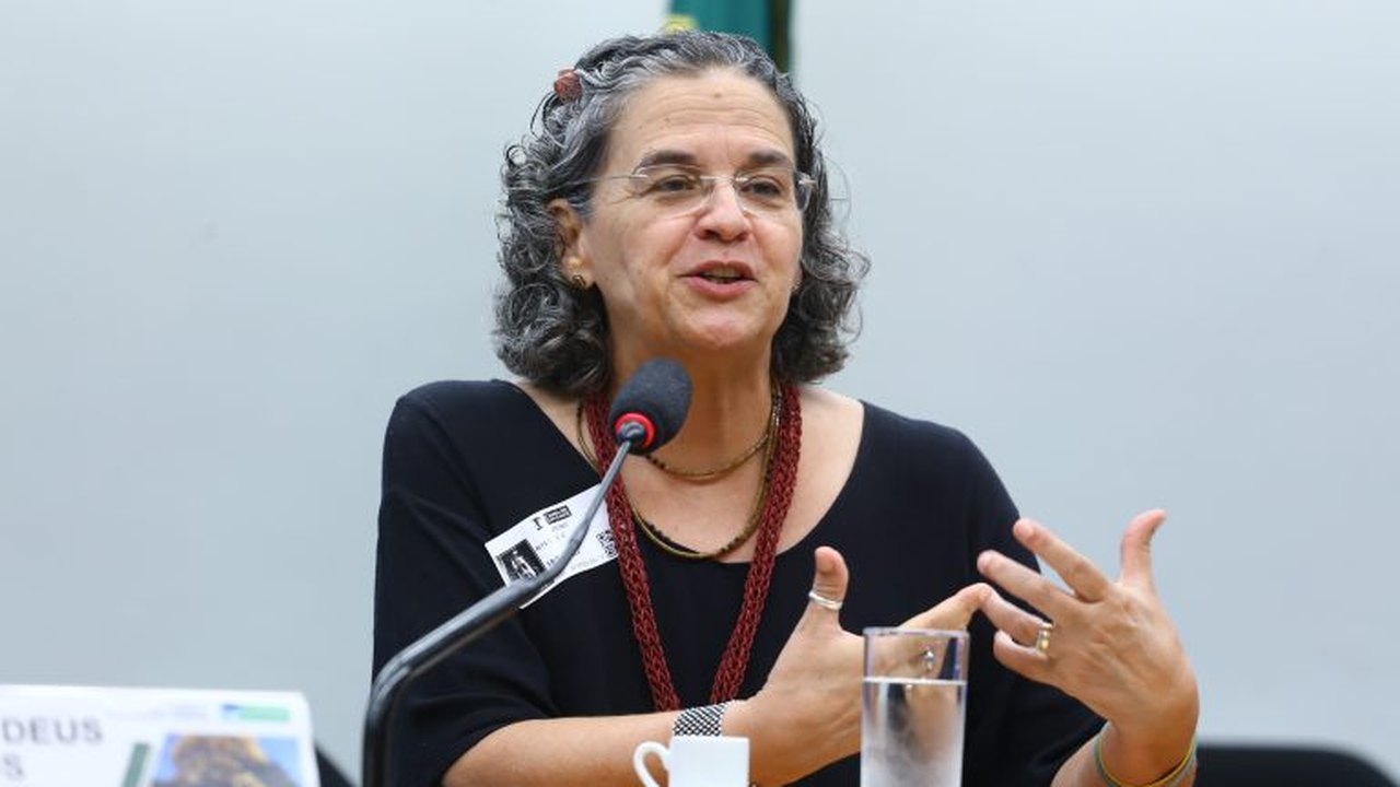 Ambientalistas apontam urgência na restauração da Mata Atlântica