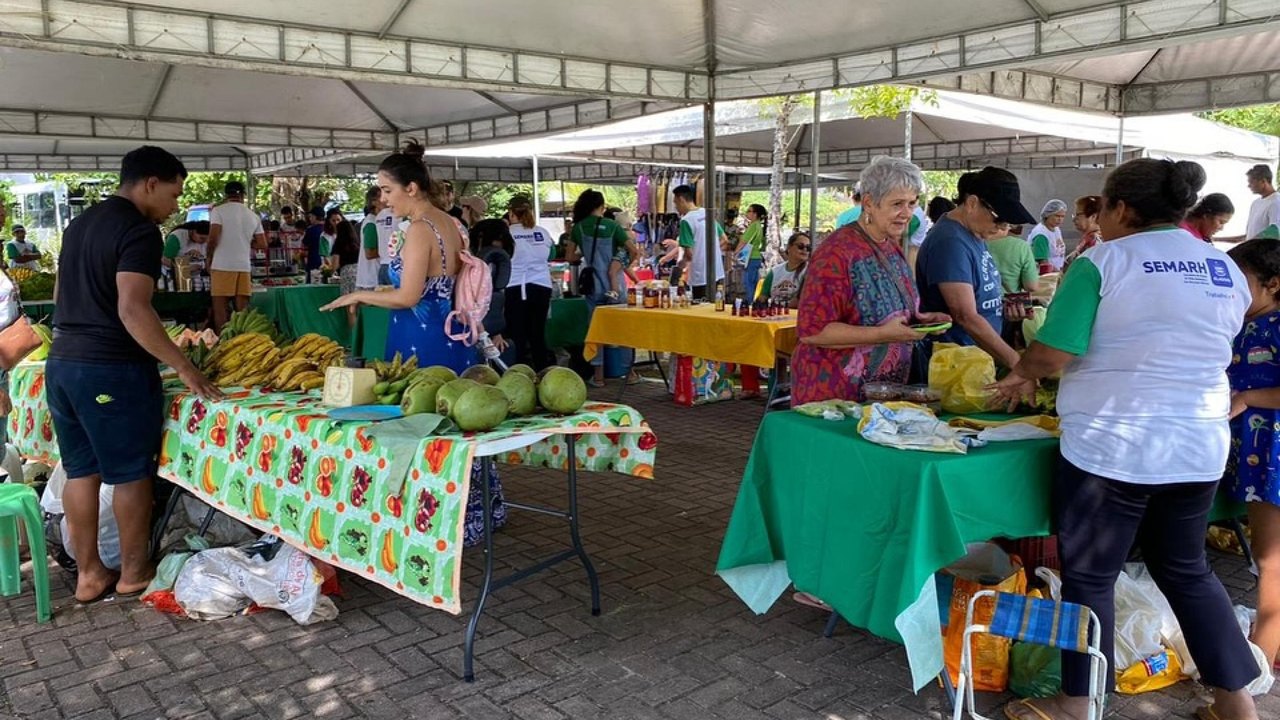 Feira sustentável especial do Dia das Crianças acontece neste domingo (13)