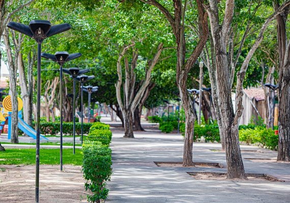 Inscrições abertas: Arapiraca sedia o XI Encontro Nordestino de Arborização Urbana em julho