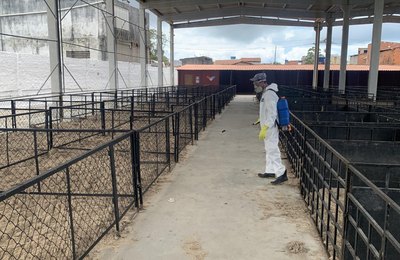 Fiscais da Adeal supervisionam desinfecção do Parque da Pecuária para receber a 75ª Expoagro