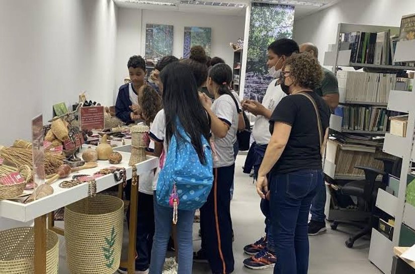 IMA oferece oficina gratuita sobre práticas de herbário