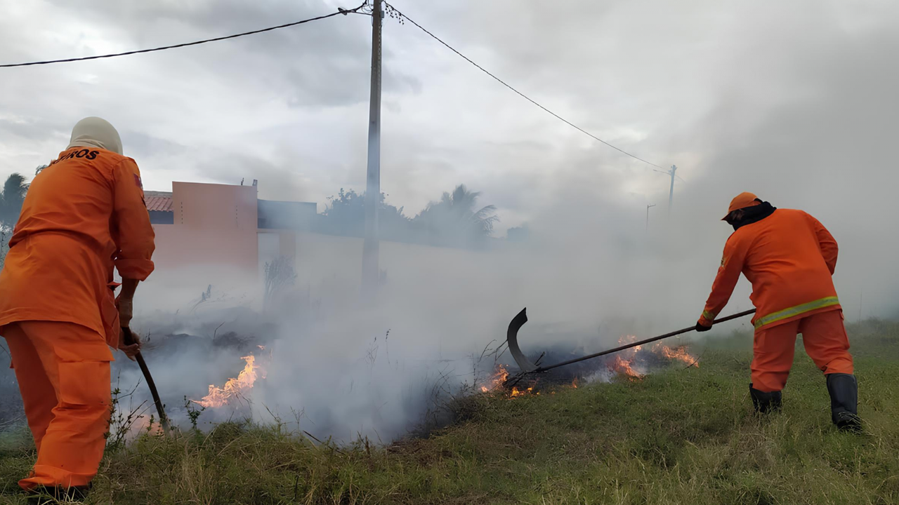 Bombeiros combatem incêndio em vegetação em União dos Palmares