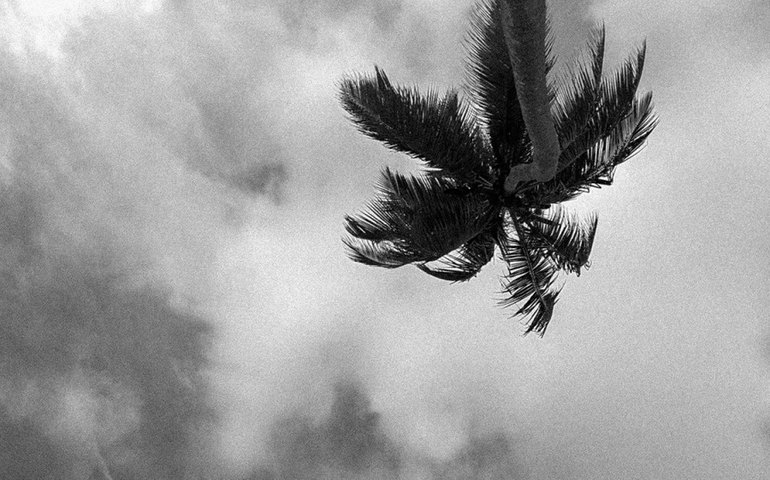 Projeto cultural A Garça e o Lobo apresenta fotografias inéditas da praia de Garça Torta às 19h desta 6ª (30/12)