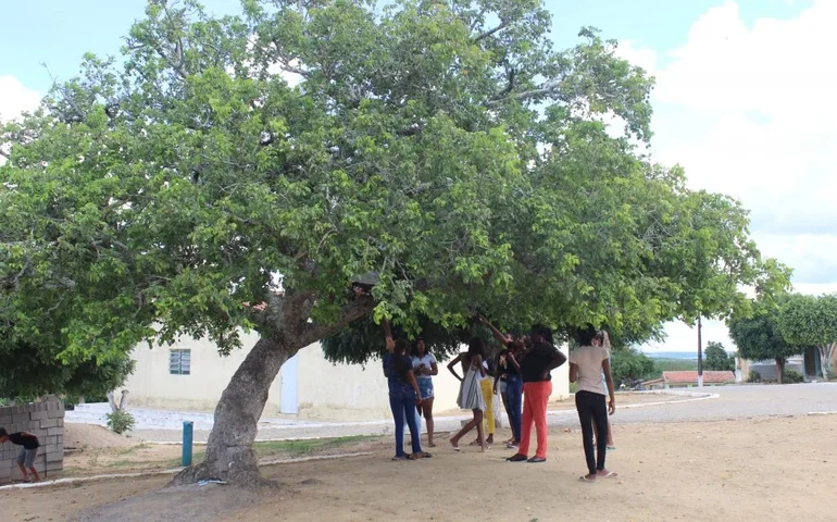 Decreto presidencial destina área para território quilombola em Alagoas