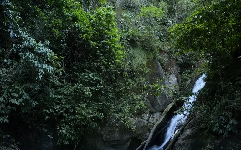Instituições financeiras e sociais lançam Laboratório de Investimento na Natureza
