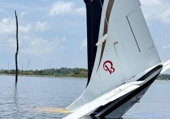 Piloto joga avião com 380 kg de skunk em represa no AM para fugir da FAB