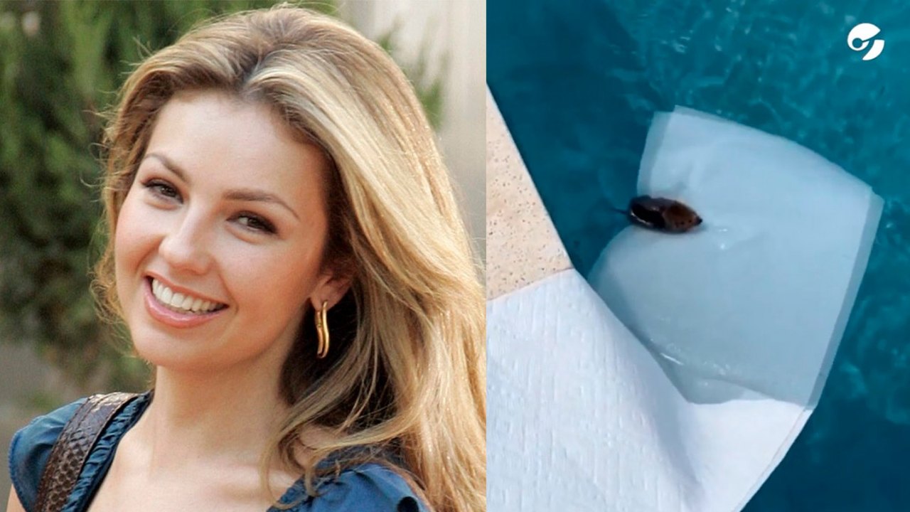 Cantora mexicana Thalía salva ratinho que se afogava em sua piscina