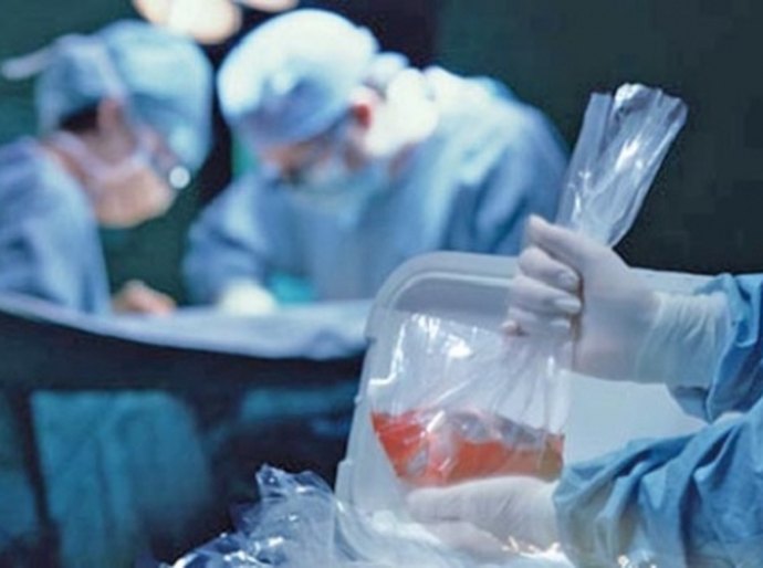 Doação de órgãos: um ato de respeito, solidariedade e amor