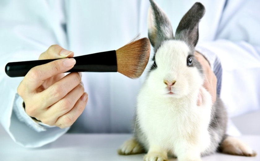 Câmara aprova fim de testes com animais em cosméticos e produtos de higiene