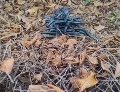 WhatsApp Image 2026-03-19 at 19.44.09.jpeg 