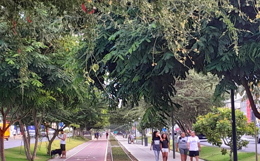 Obras de urbanização projetam Arapiraca para as próximas gerações