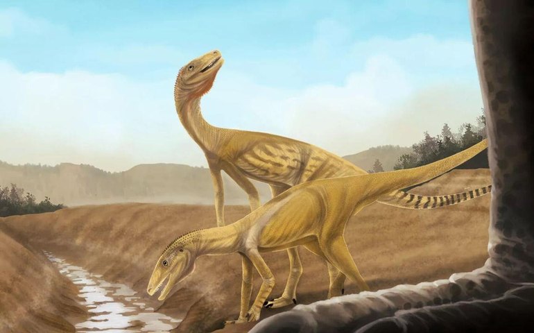 Nova espécie de dinossauro semelhante a garça é descoberta na Argentina