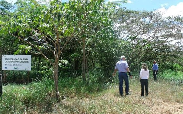 Área de recomposição da mata ciliar é inspecionada pelo IMA e MP