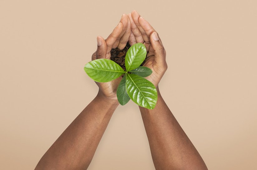 WAP recicla quase 150 toneladas de resíduos em 2024 e reforça compromisso com sustentabilidade e inovação