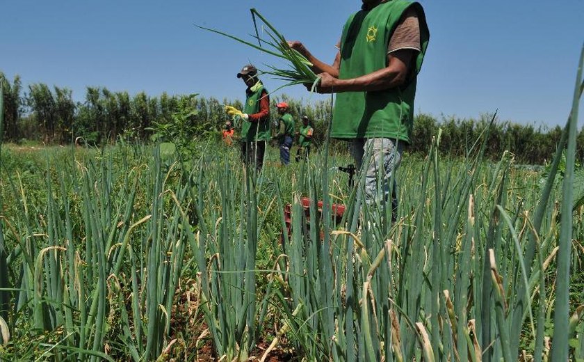 Brasil e Senegal ampliam cooperação em defesa e agropecuária