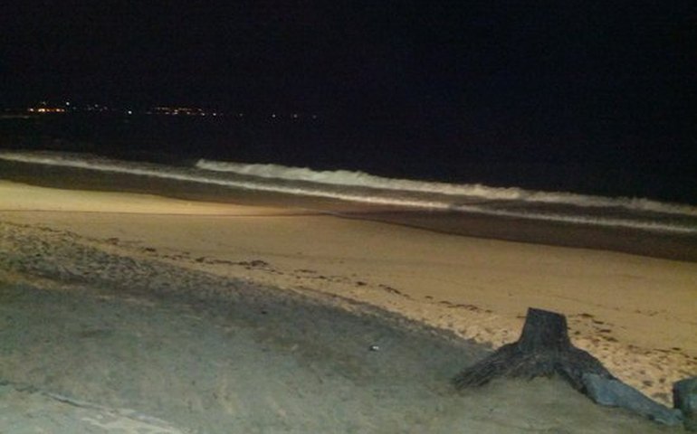 Vídeo: tubarões são flagrados na orla de Maceió