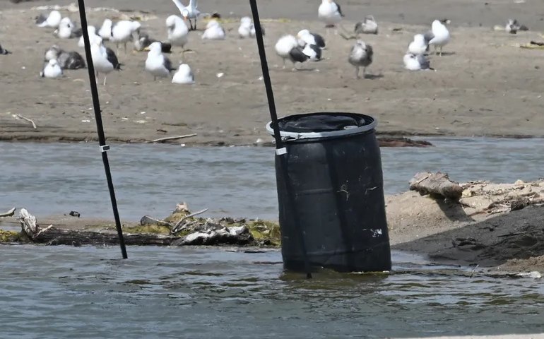 Mistério na praia de Malibu: corpo achado em barril não tinha respingos de sangue nem sinais de violência, diz polícia