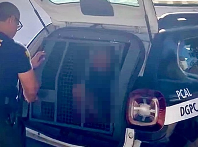 PC prende homem por estupro de vulnerável e importunação sexual ocorridos em Maceió