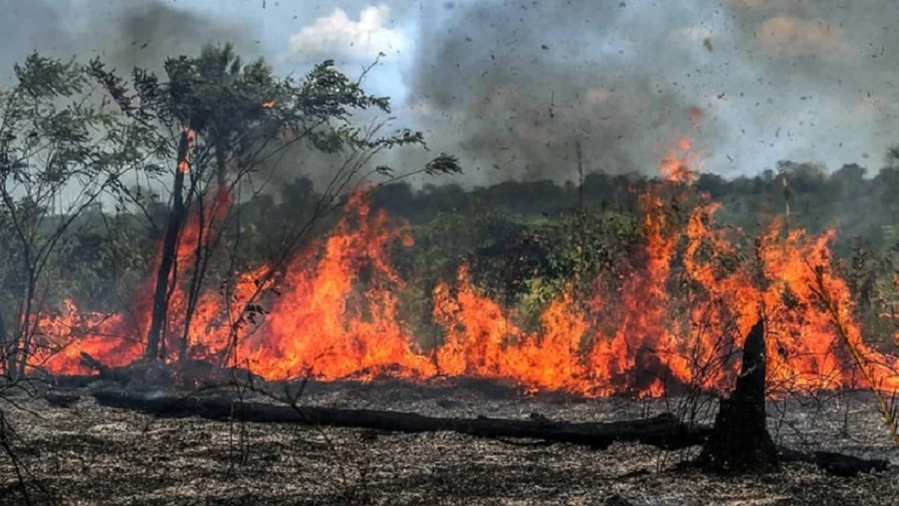 Queimadas no Amazonas aumentam e fumaça encobre Manaus; governo envia reforço