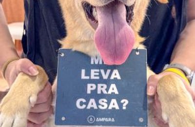 Sam´s Club Maceió promove evento de adoção de pets resgatados em parceria com a ONG Pata Amada