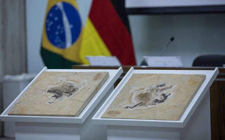 Brasil quer recuperar dinossauros e patrimônios que estão em 14 países