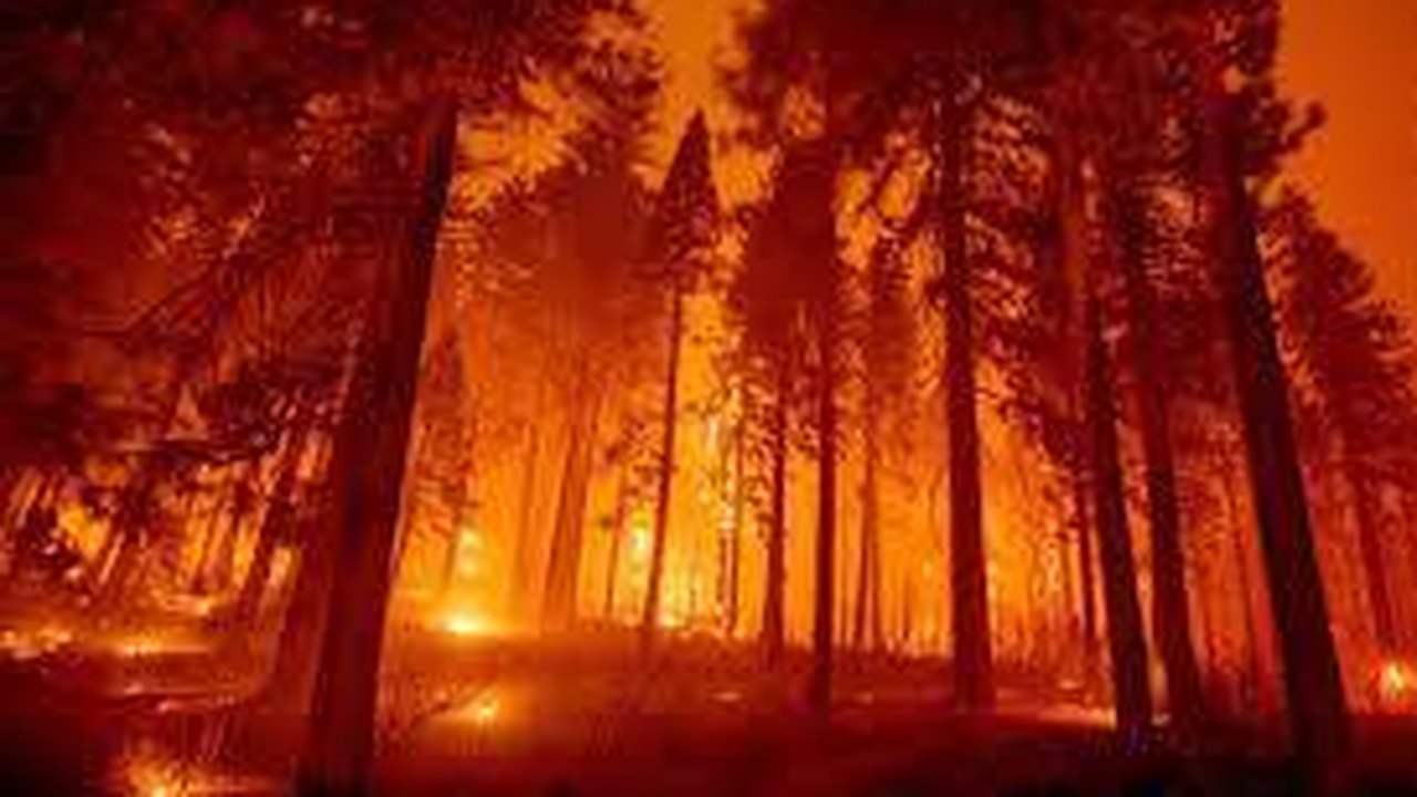 Vento e temperaturas aumentam enquanto incêndios florestais queimam o norte da Califórnia