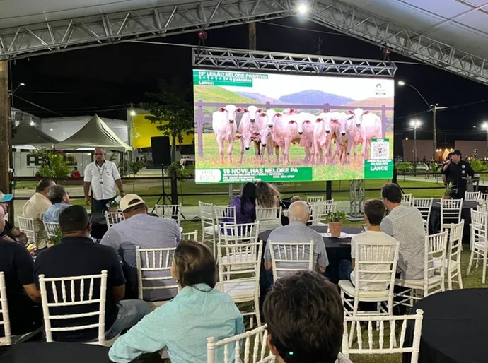 Expoagro-AL terá maior temporada de leilões da história, com 15 remates confirmados