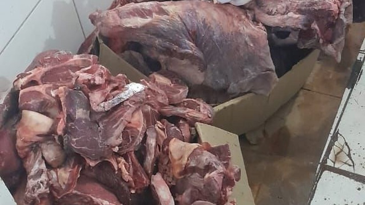 Carne imprópria para consumo humano estava sendo comercializada em Palmeira dos Índios