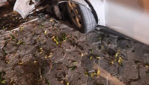 Roubo de carro termina com batida e homem preso em Aracaju / Foto: Foto: Polícia Militar/SE