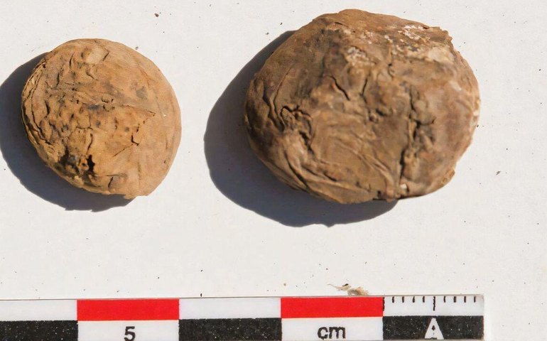 Batatas de 500 anos são desenterradas em assentamento inca no Peru