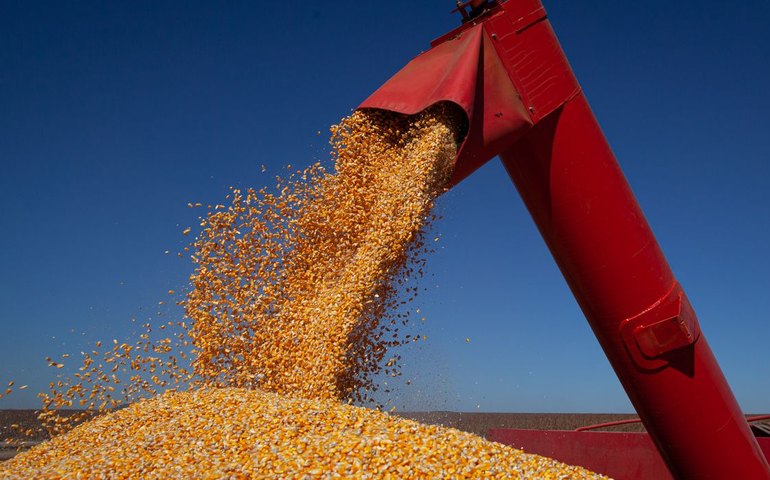 6ª estimativa da Conab para safra 2021/22 indica produção de 265,70 milhões de t