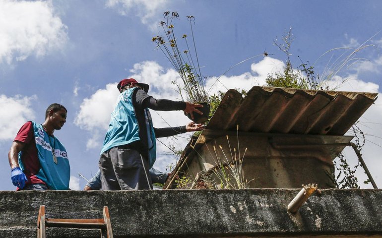 DF promove dia de combate à dengue para eliminar focos do Aedes aegypt