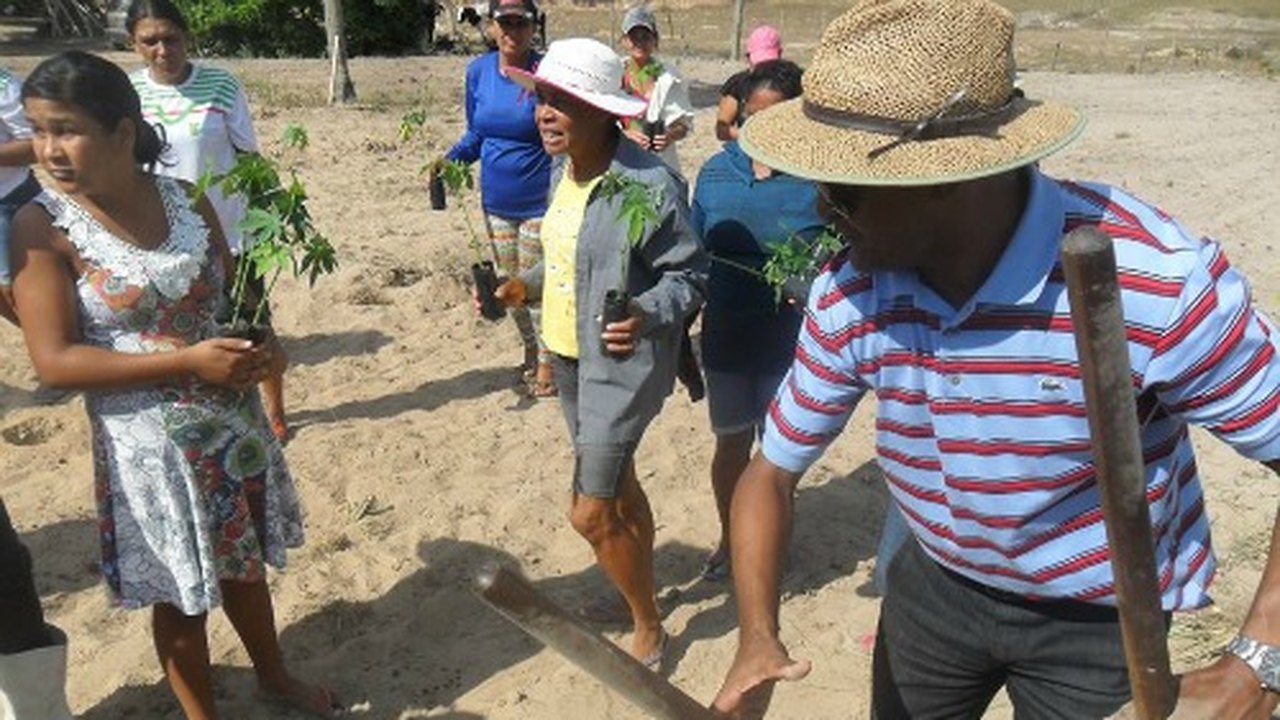 Arapiraca: Agricultoras têm apoio para confecção de doces na Baixa do Capim