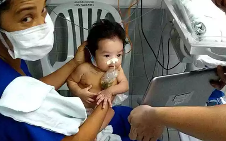 No Ceará, mãe vê bebê na UTI por tablet