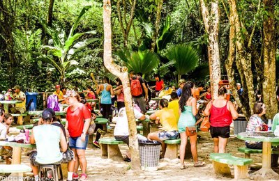 Ecoférias: fim de semana tem Vetkids, música e feira de adoção no Parque Municipal